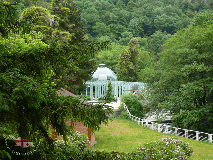 Visit in borjomi