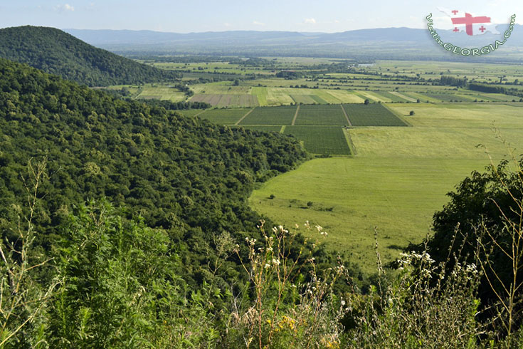 некреси