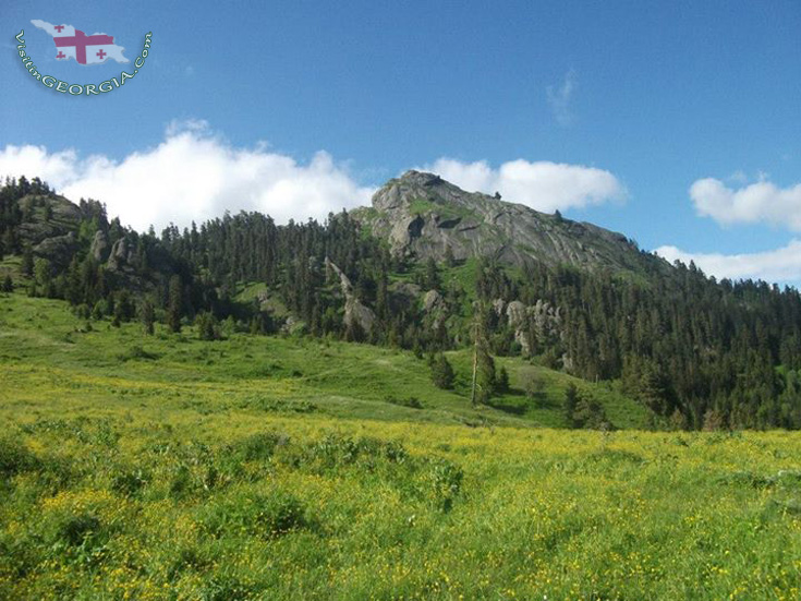 Боржоми Харагаульский парк