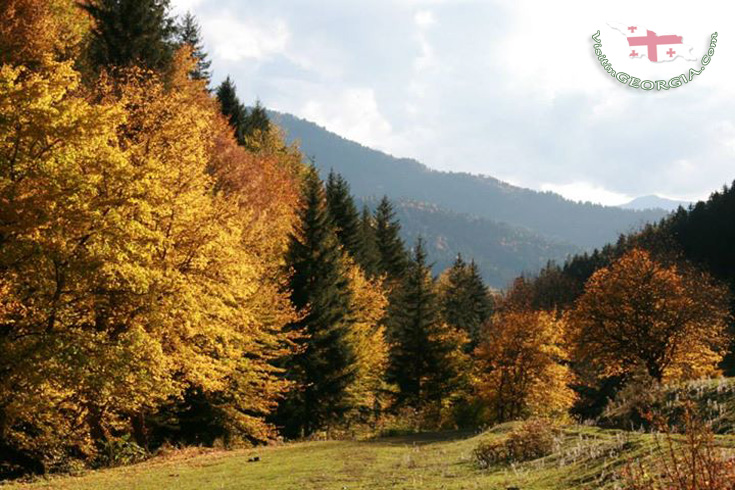 Боржоми Харагаульский парк