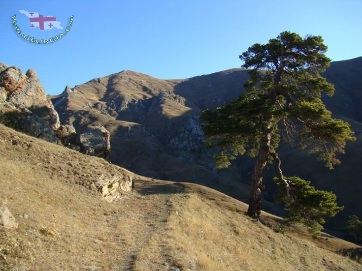 Боржоми Харагаульский парк