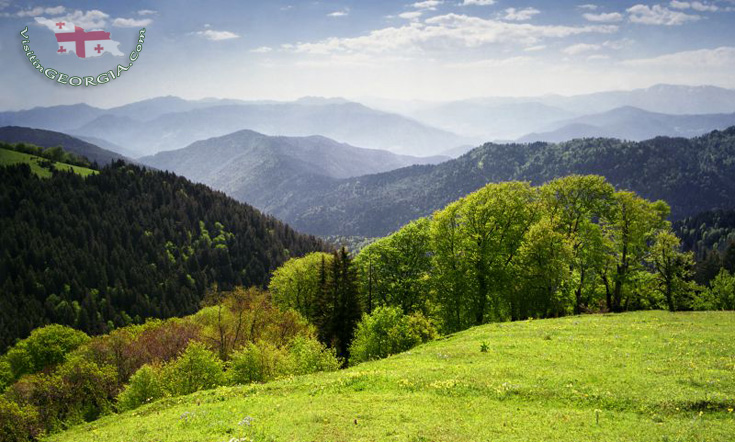 Боржоми Харагаульский парк