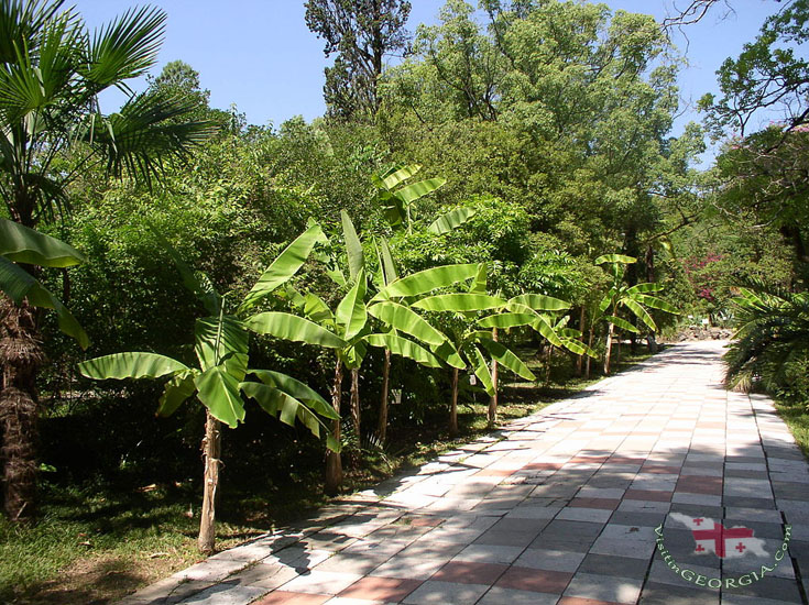 Sukhumi - Abkhazia Sukhumi - Abkhazia