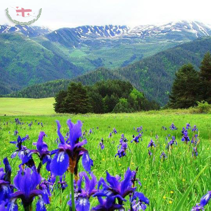 Tours in Tusheti