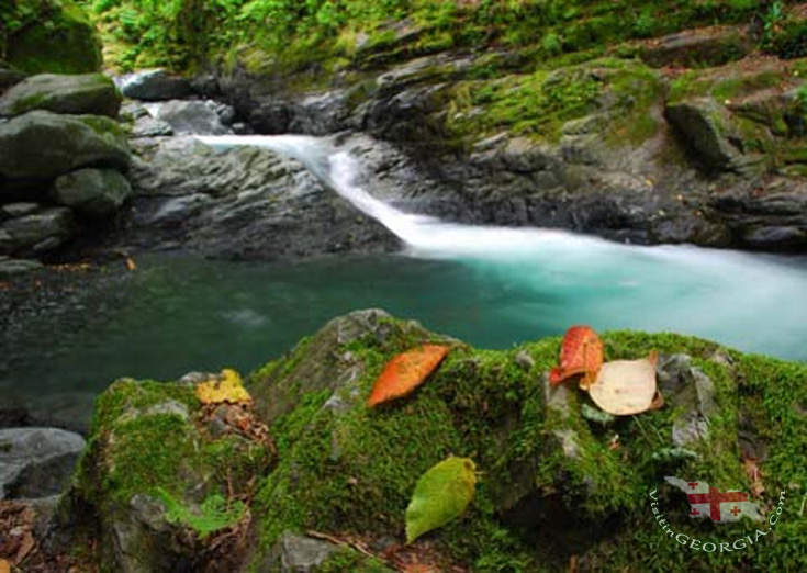 Lagodekhi-National-Park-kakheti