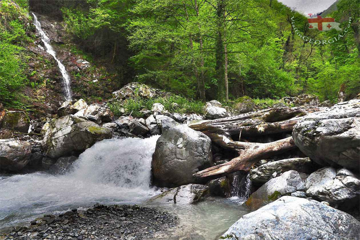 Lagodekhi-National-Park-kakheti