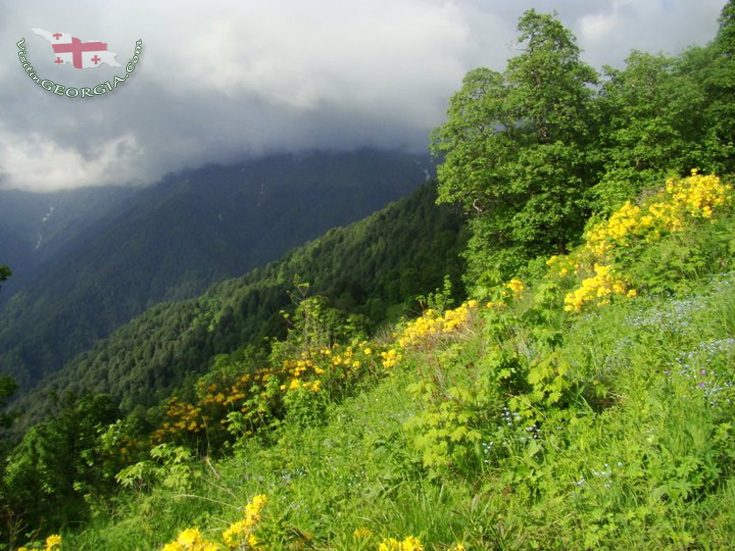 Lagodekhi-National-Park-kakheti