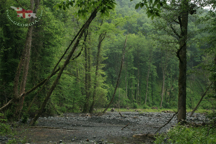 Lagodekhi-National-Park-kakheti