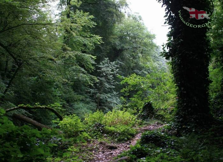 Lagodekhi-National-Park-kakheti